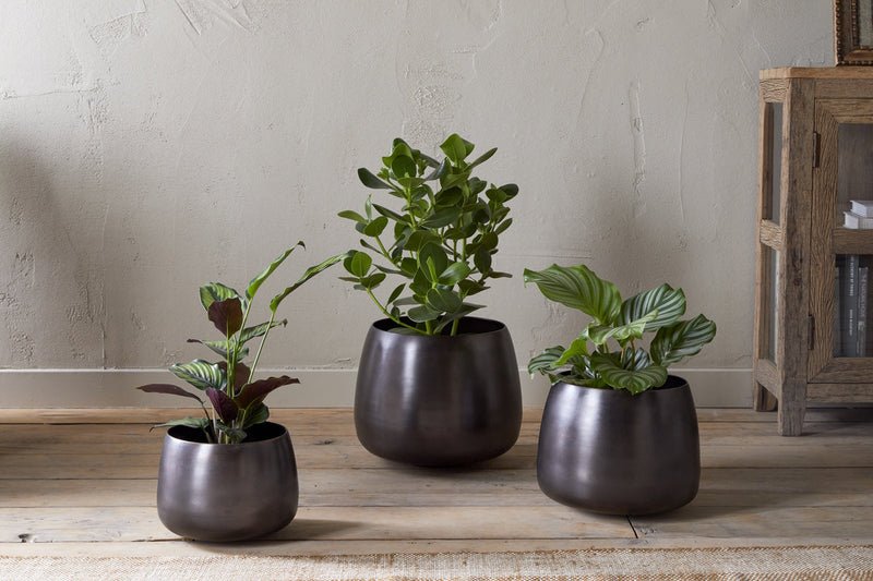 Metal Planters